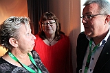 Cstamma2013-269