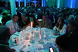 Cstamma2013-294