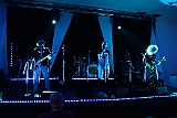 Cstamma2013-335