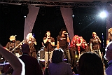 Cstamma2013-355