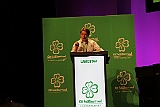 Cstamma2013-372