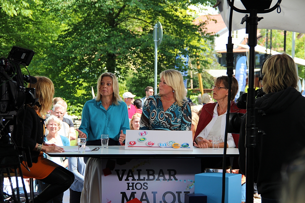 Almedalen-041