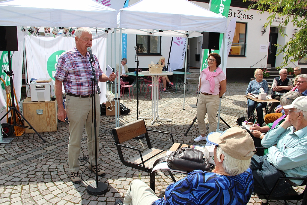 Almedalen-060