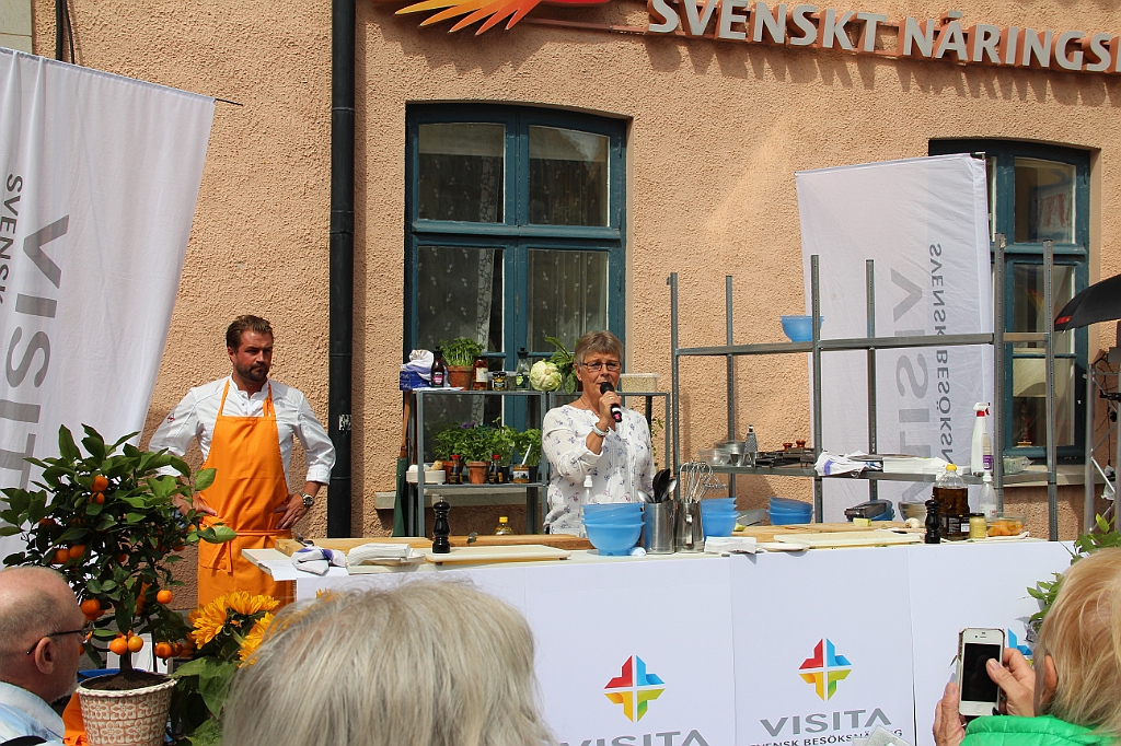 Almedalen-104