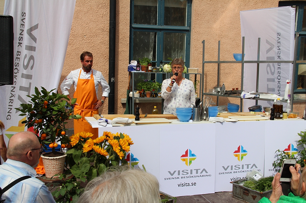 Almedalen-105