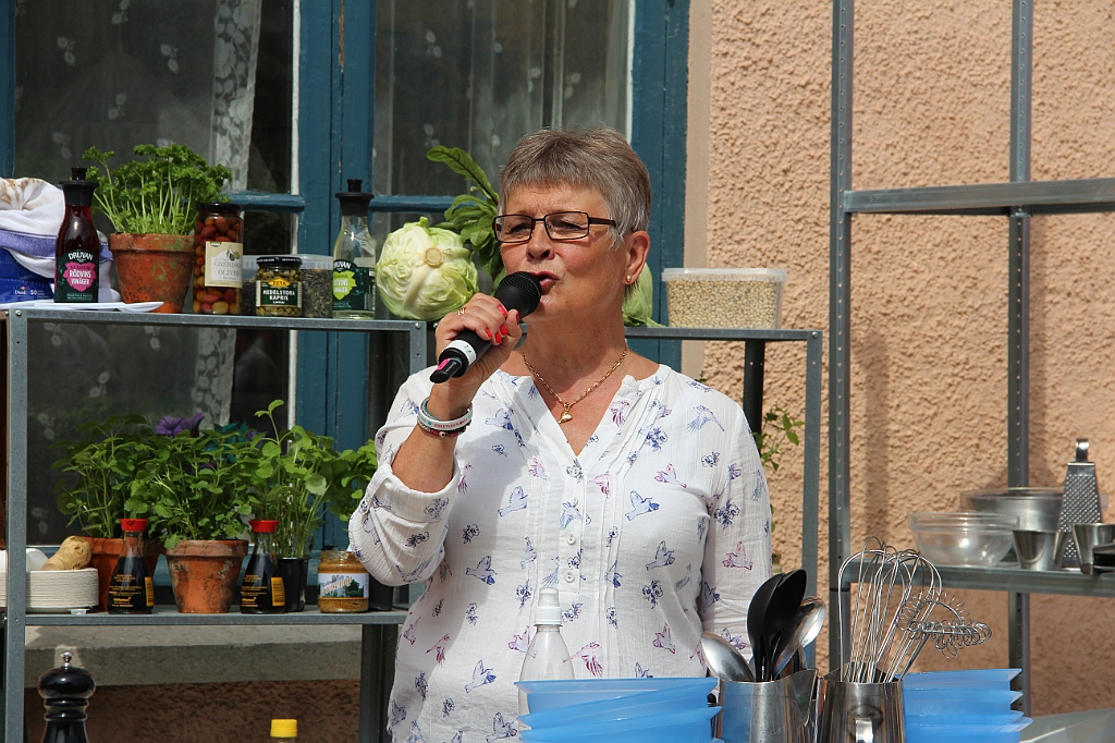 Almedalen-106