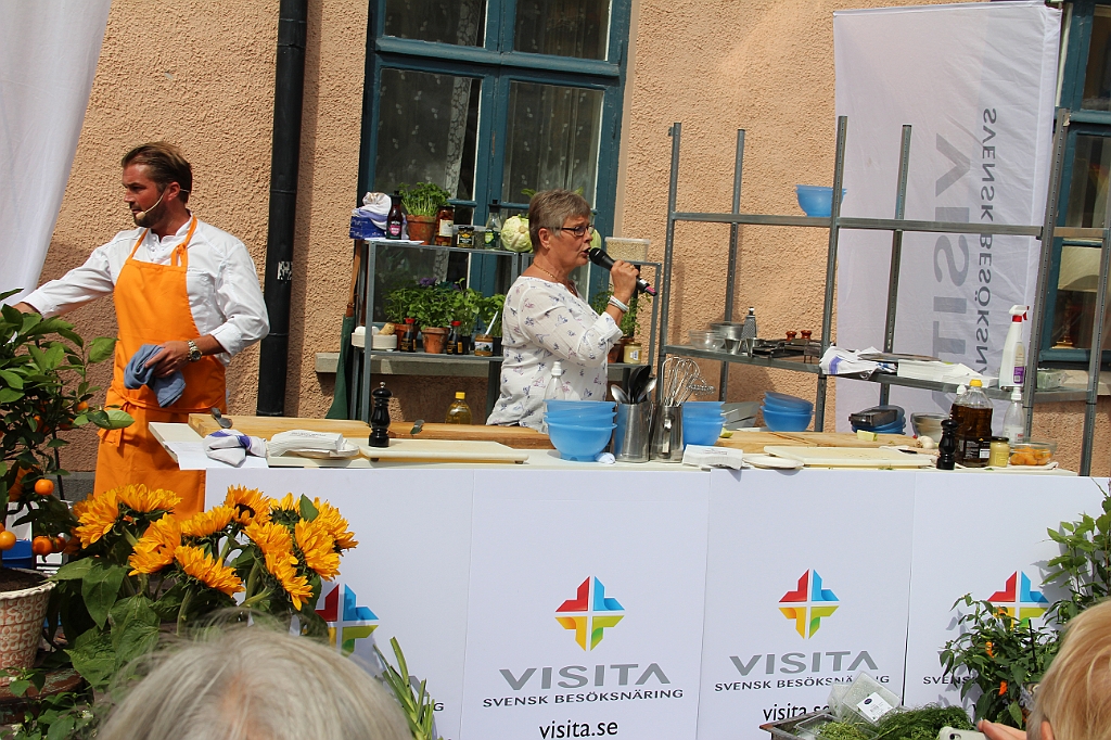 Almedalen-107