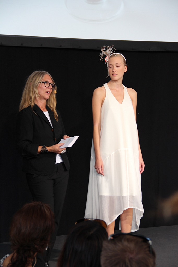 Almedalen-249