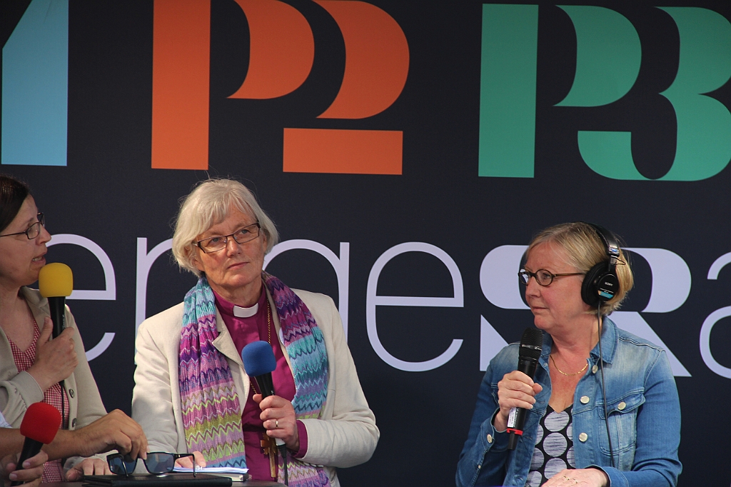 Almedalen-385