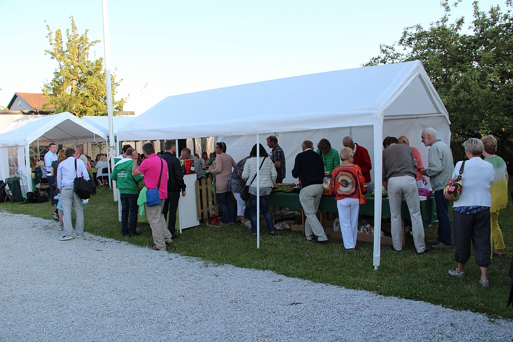Almedalen-412