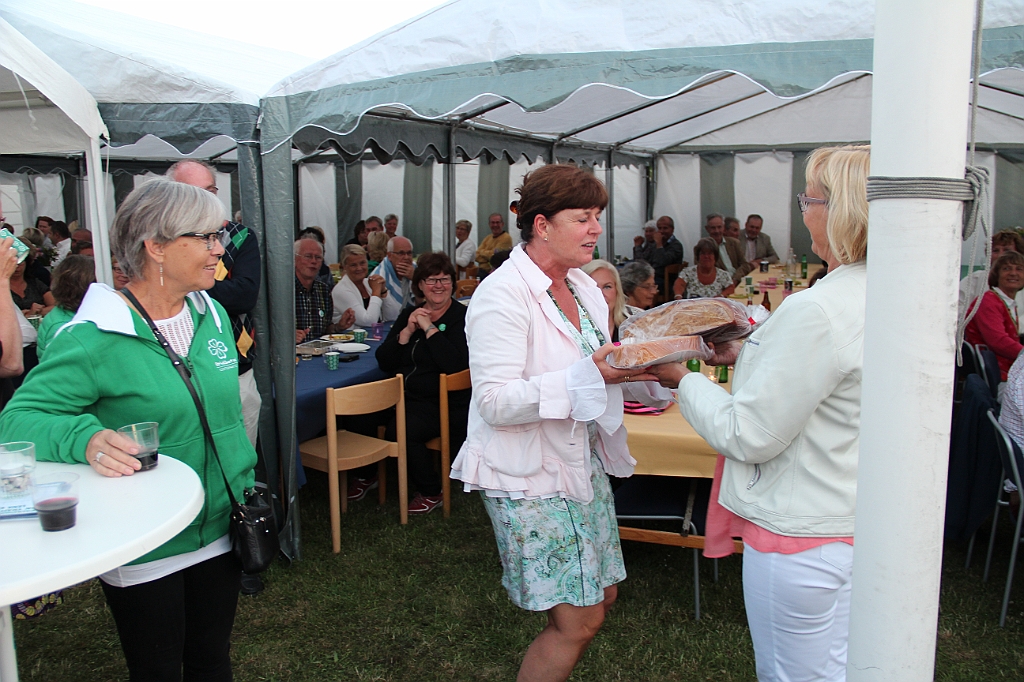 Almedalen-425