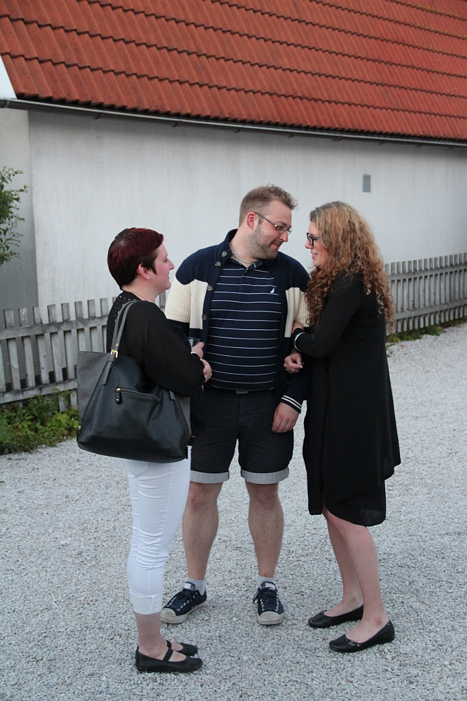 Almedalen-429