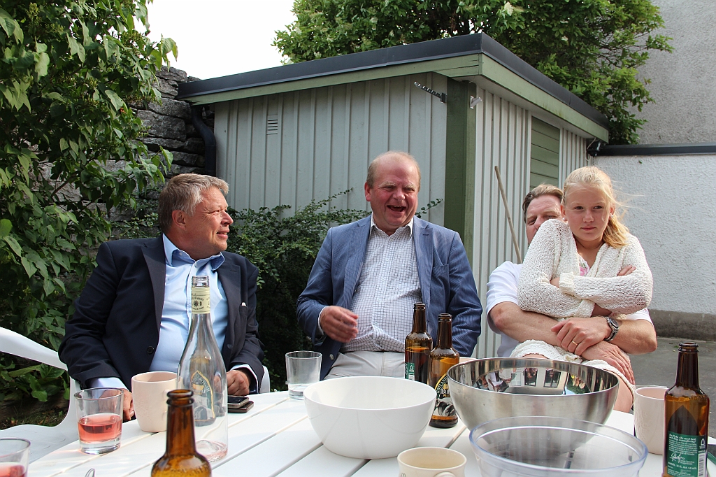 Almedalen-500
