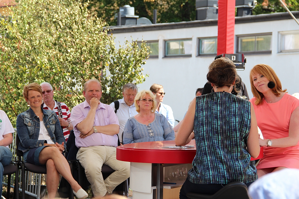 Almedalen-599
