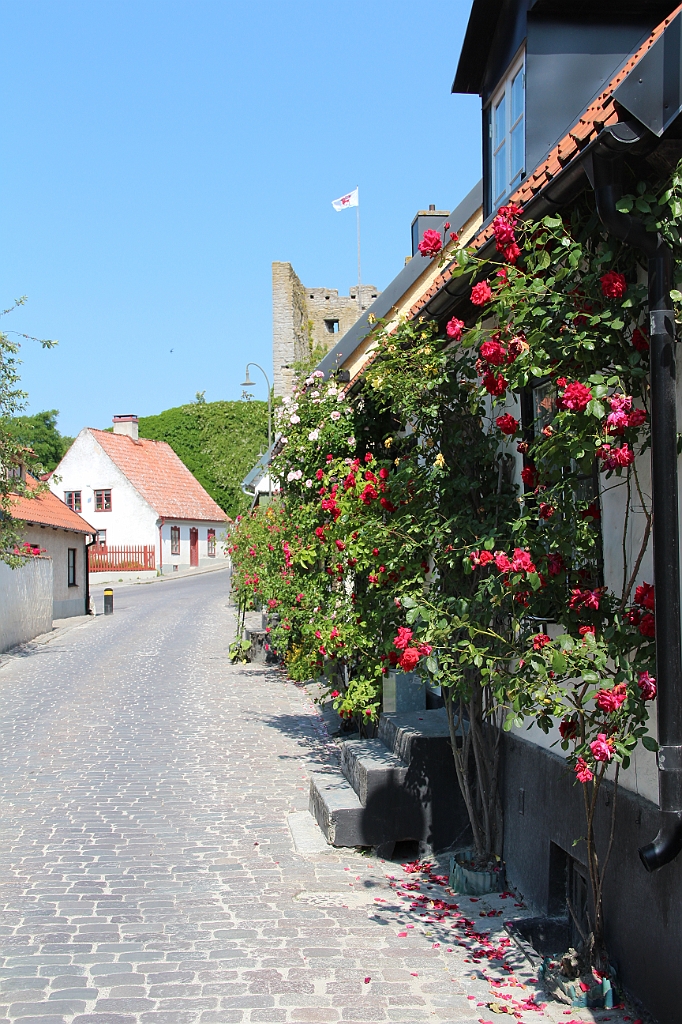 Almedalen-603