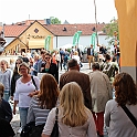 Almedalen-064