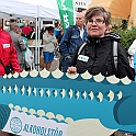 Almedalen-318