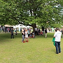 Almedalen-525