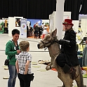 Landsbygdsriksdagen132