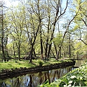 Landsbygdsriksdagen441