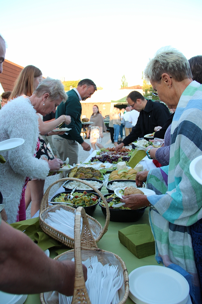 Almedalen2015-0075