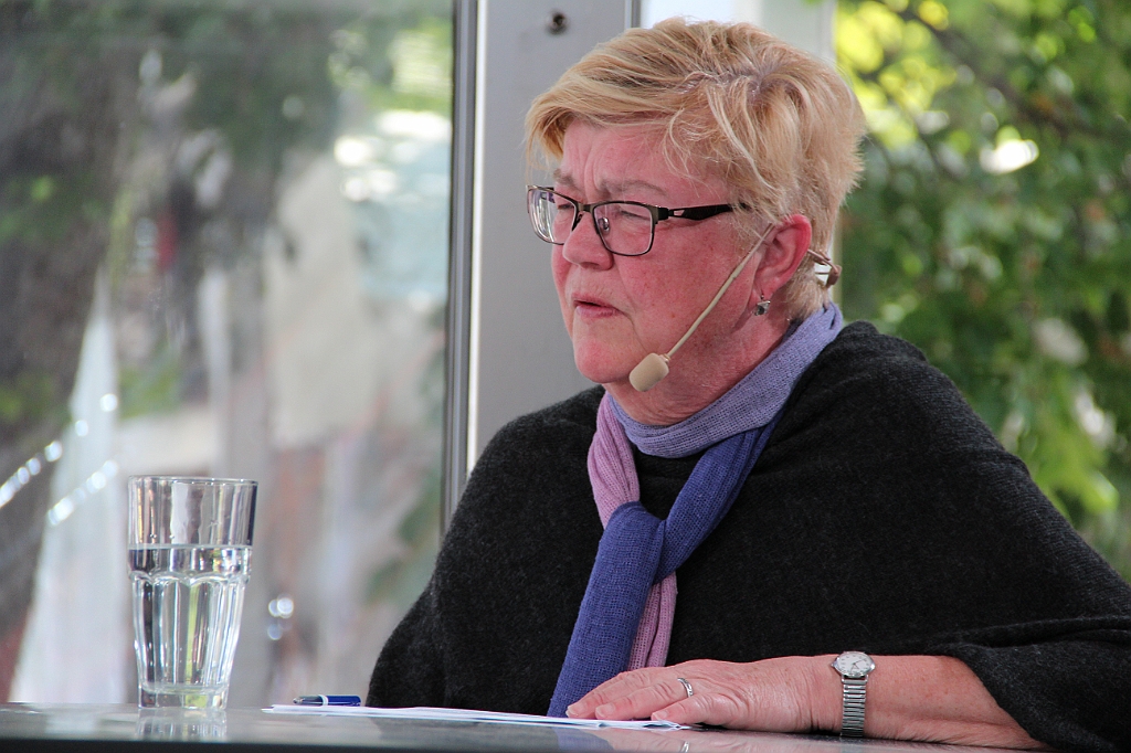 Almedalen2015-0291