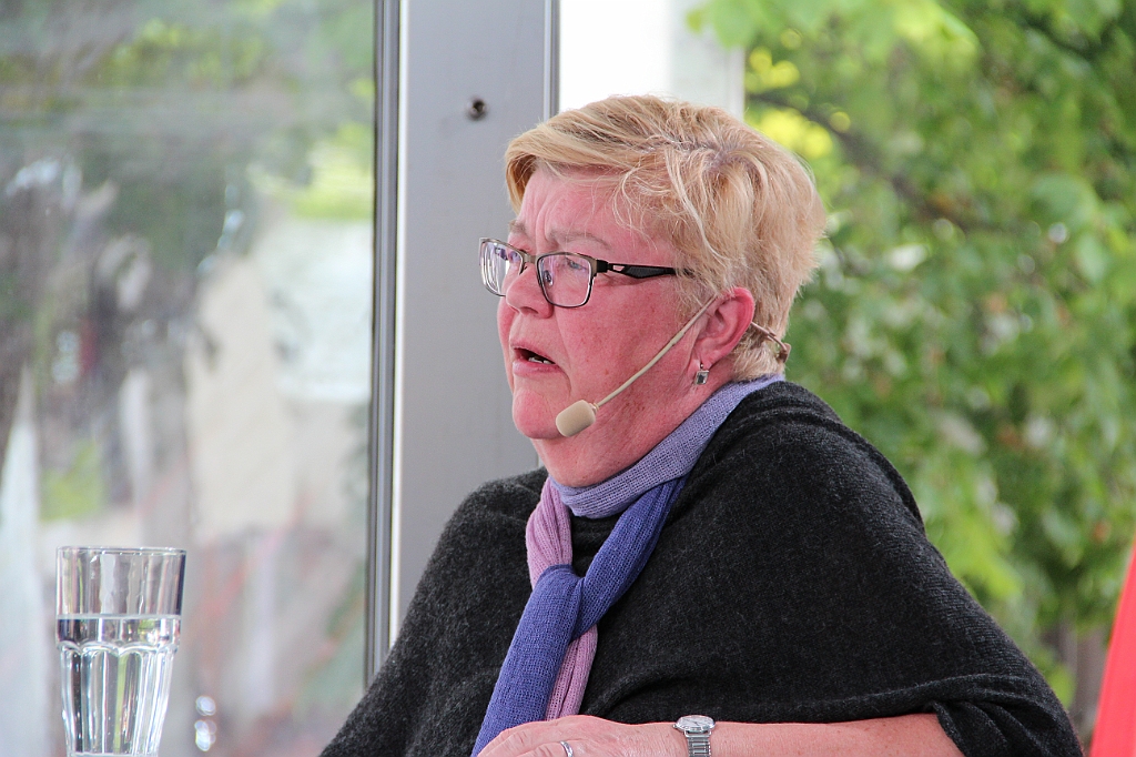 Almedalen2015-0303
