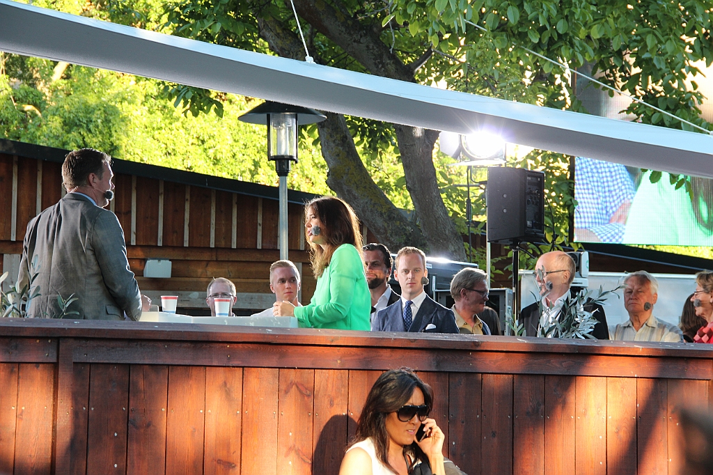 Almedalen2015-0555
