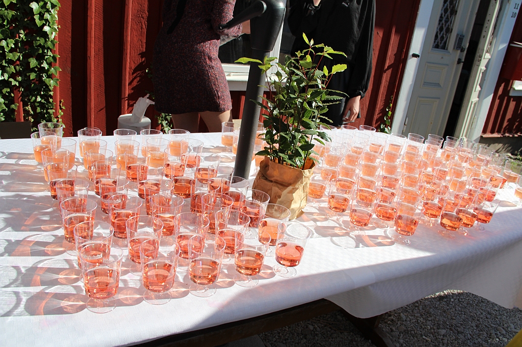 Almedalen2015-0704