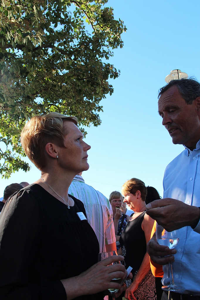 Almedalen2015-0713