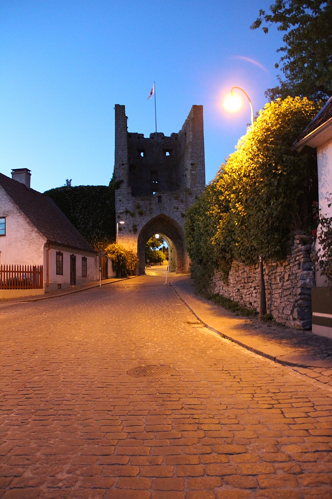 Almedalen2015-0795