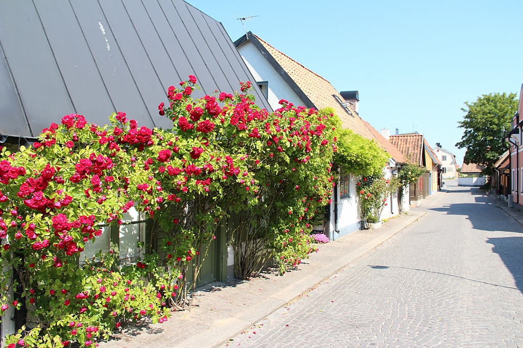 Almedalen2015-1062