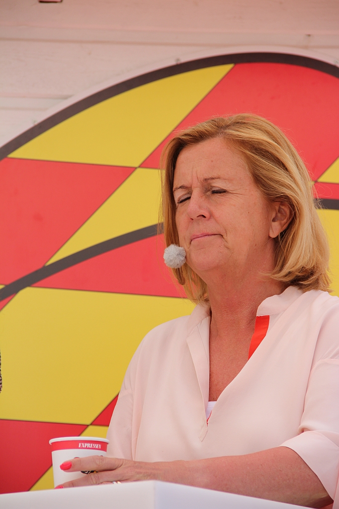 Almedalen2015-1083