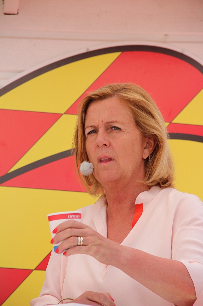 Almedalen2015-1084