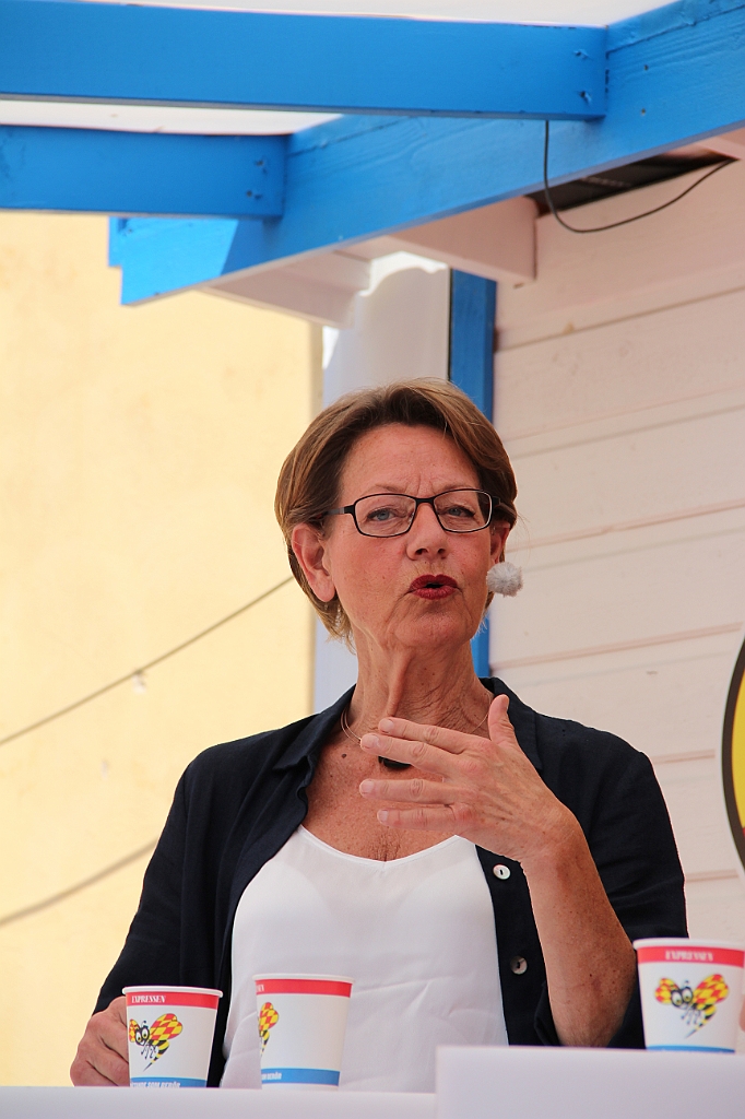 Almedalen2015-1093