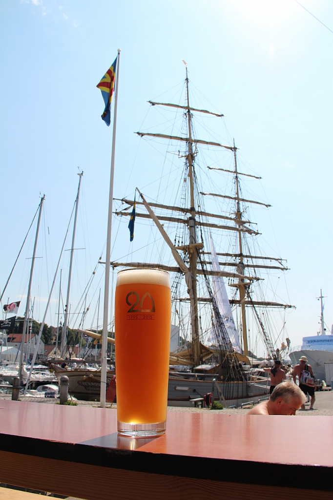 Almedalen2015-1126