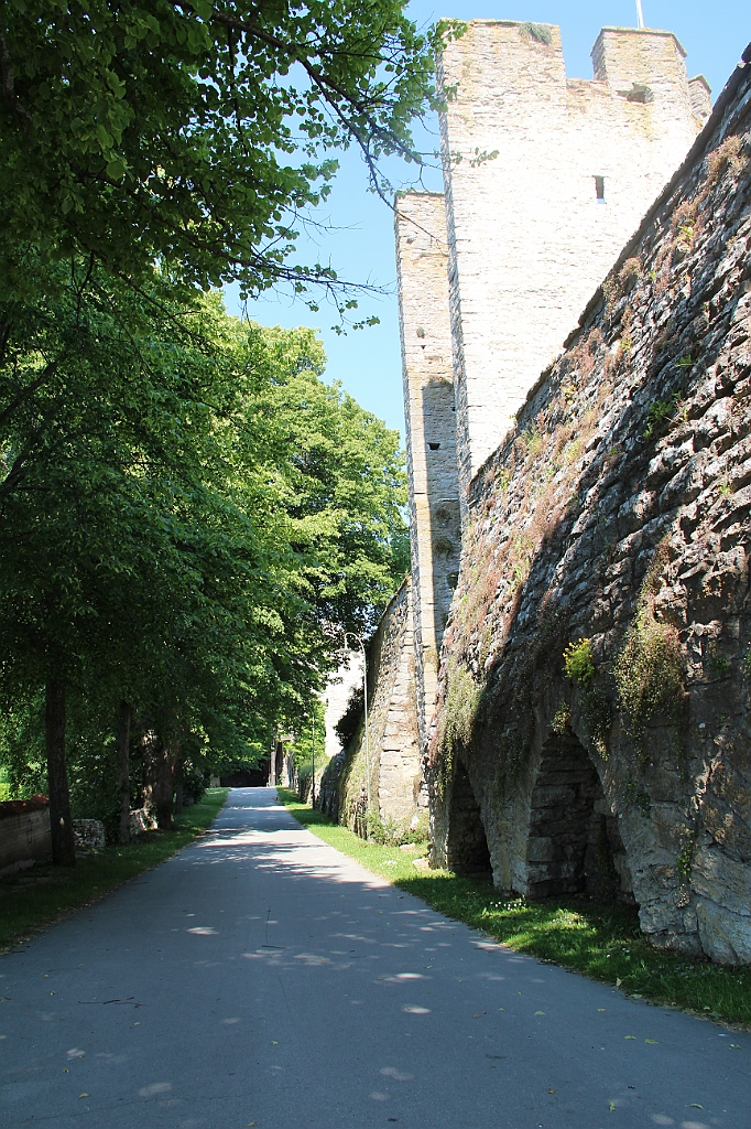 Almedalen2015-1195