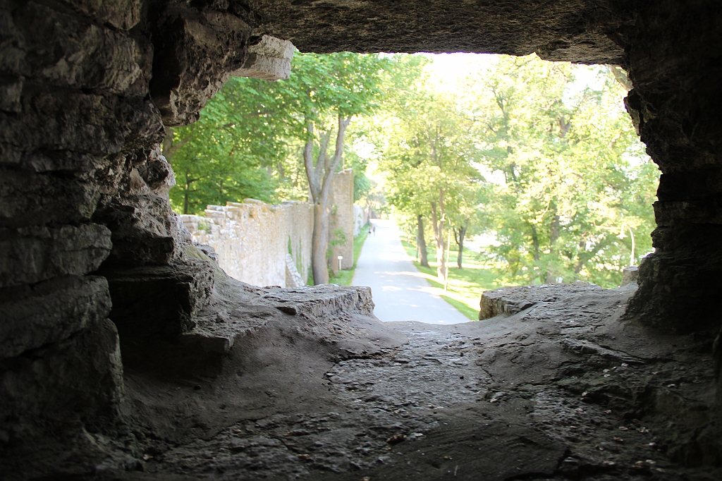 Almedalen2015-1196