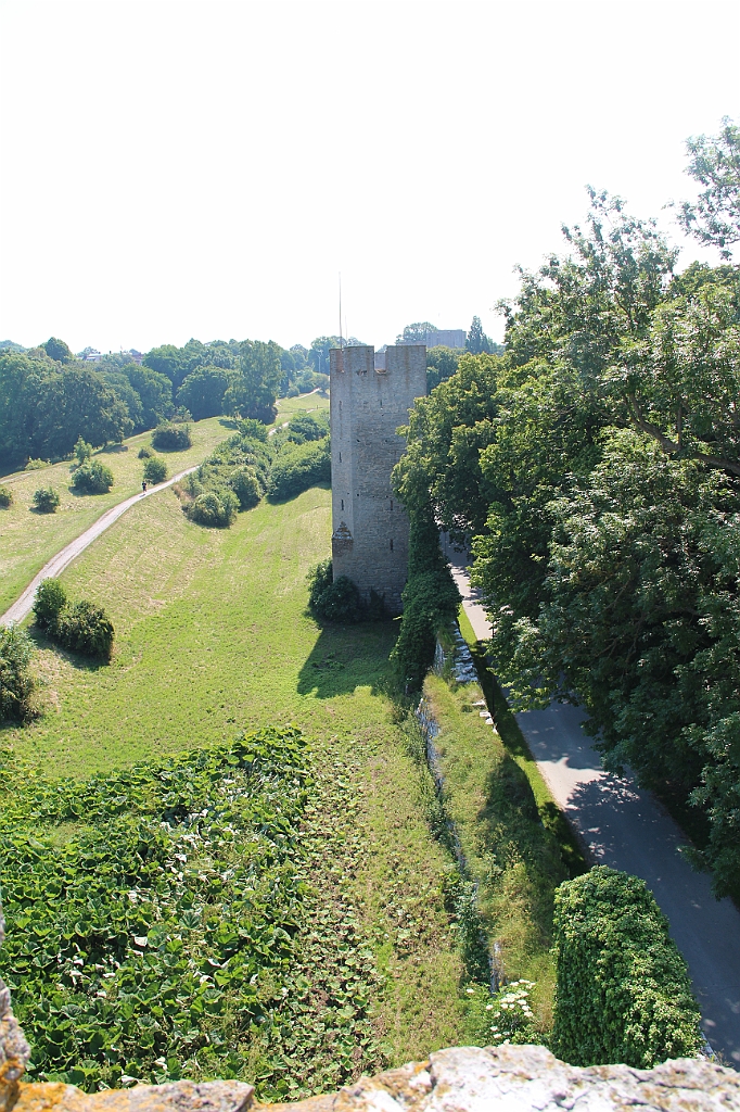 Almedalen2015-1198