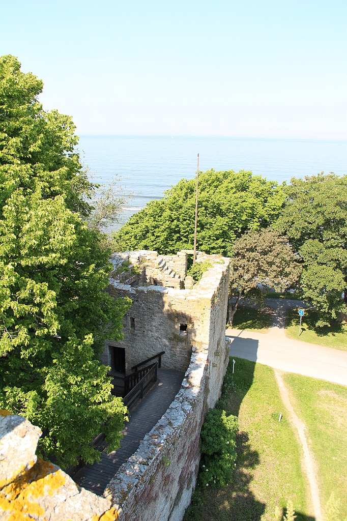 Almedalen2015-1199