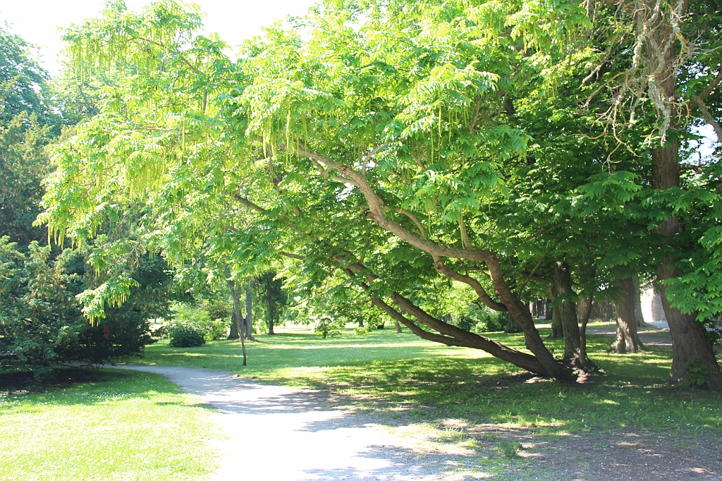 Almedalen2015-1208