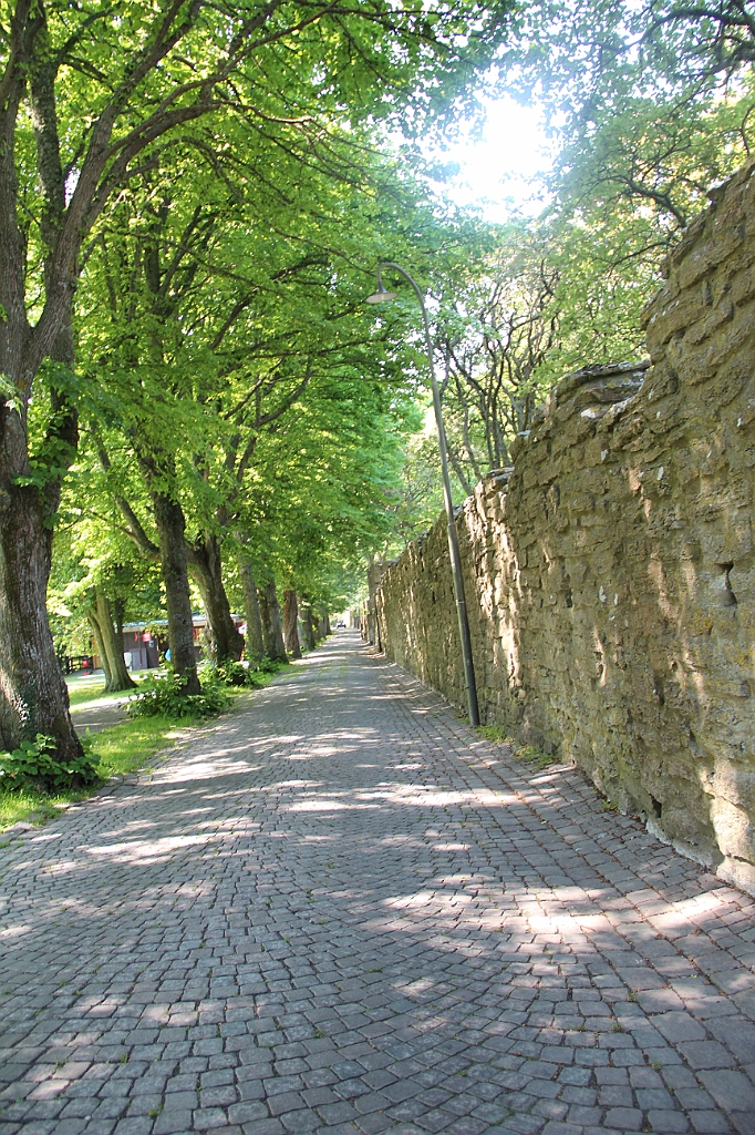 Almedalen2015-1211