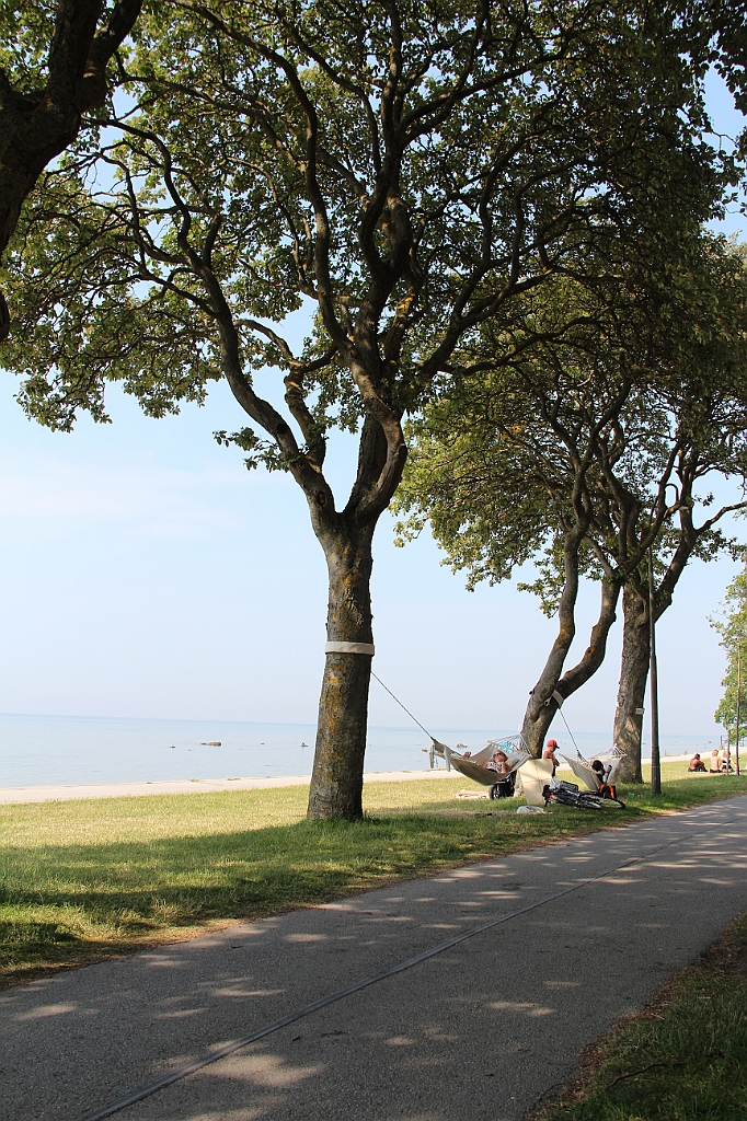Almedalen2015-1286