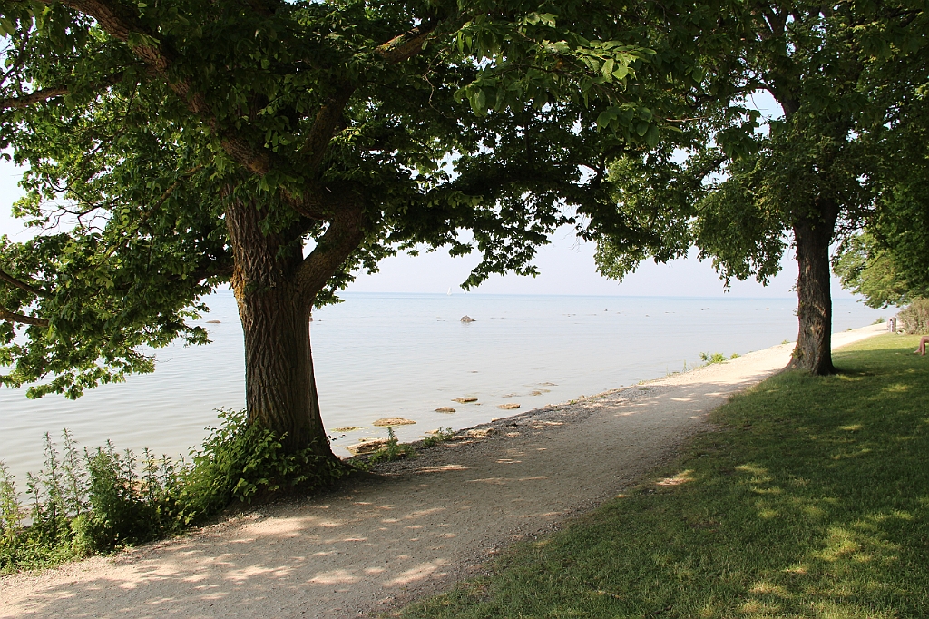 Almedalen2015-1288