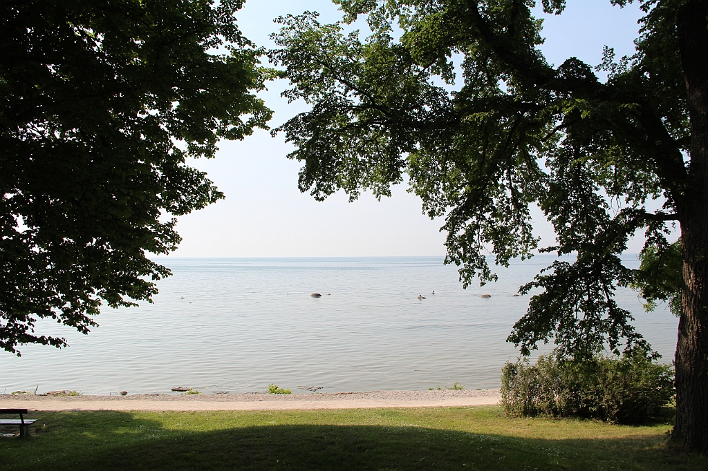 Almedalen2015-1289