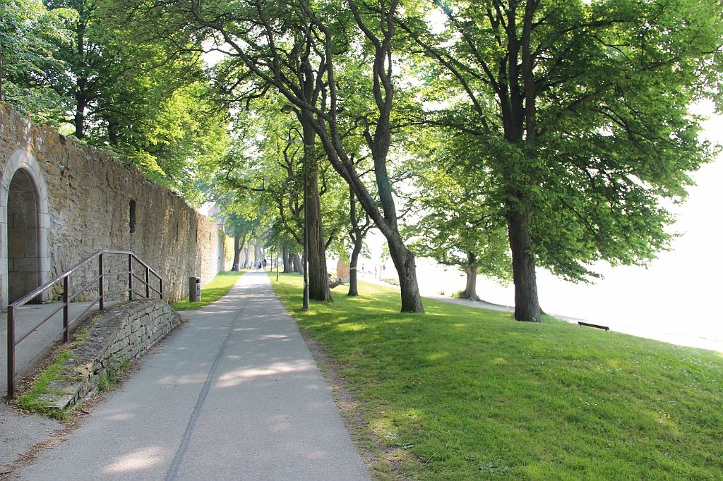 Almedalen2015-1290