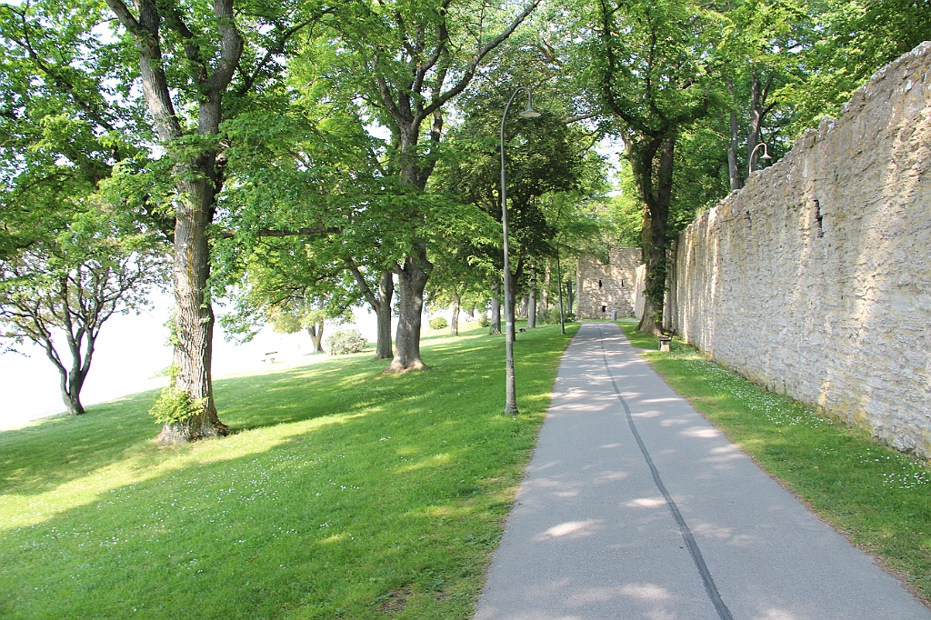Almedalen2015-1291