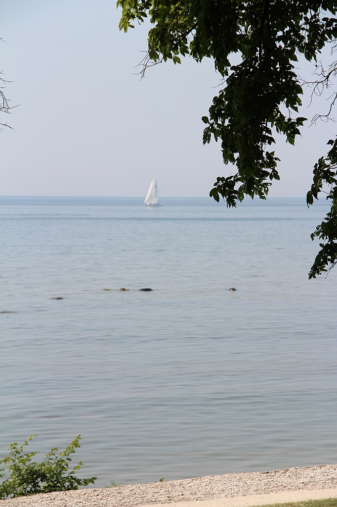 Almedalen2015-1292