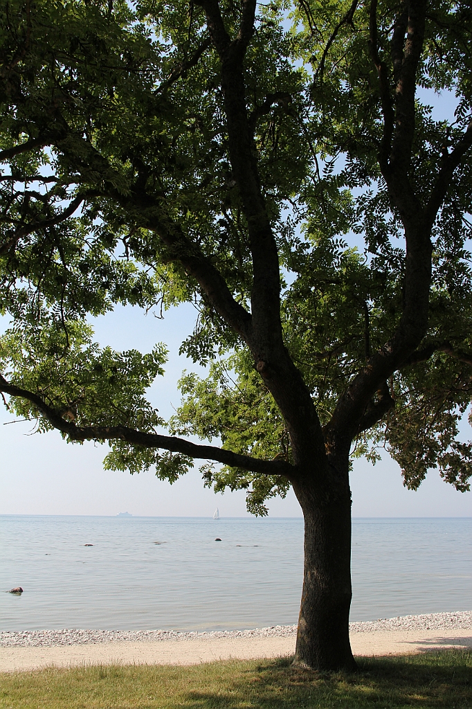 Almedalen2015-1294