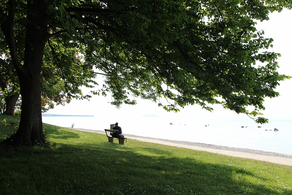 Almedalen2015-1297